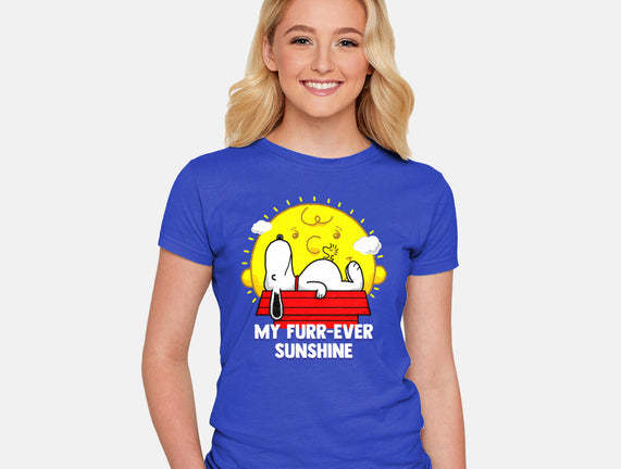 Furr Ever Sunshine