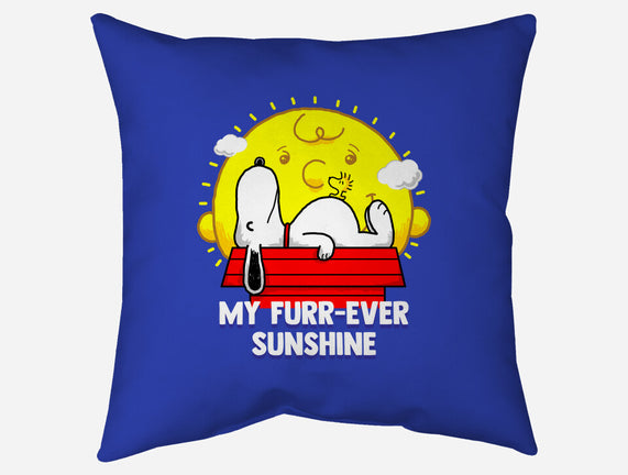 Furr Ever Sunshine
