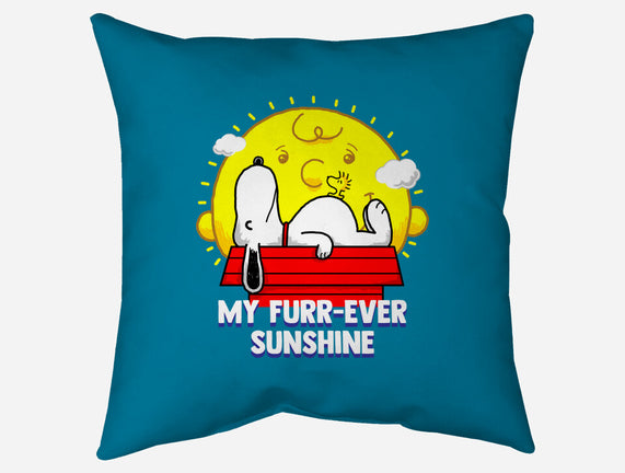 Furr Ever Sunshine