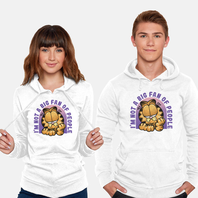 Not A Big Fan Of People-Unisex-Pullover-Sweatshirt-glitchygorilla