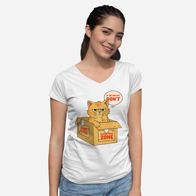 If You Need Me Don't-Womens-V-Neck-Tee-Tri haryadi