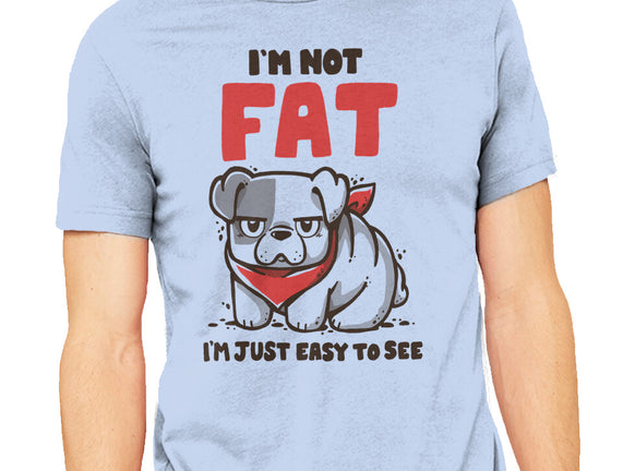 I'm Just Easy To See