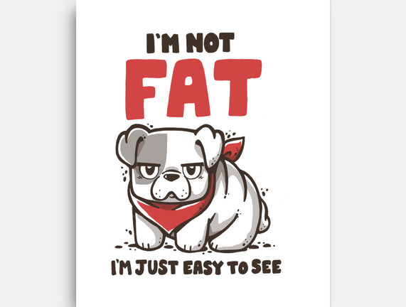 I'm Just Easy To See