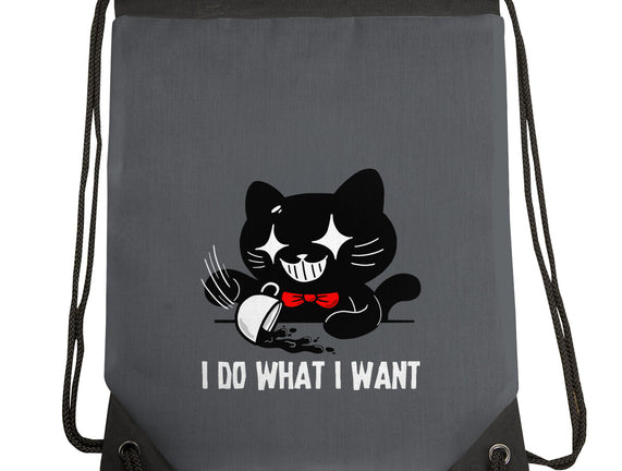 I Do What I Want Cat