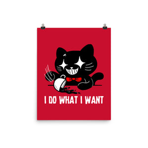 I Do What I Want Cat