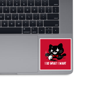 I Do What I Want Cat