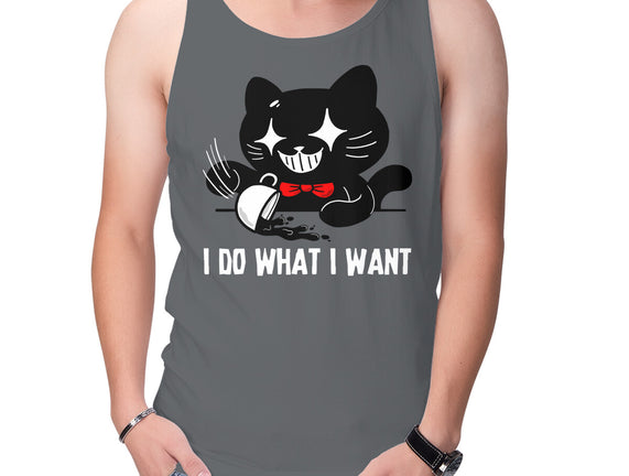 I Do What I Want Cat