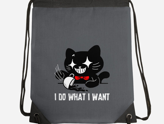 I Do What I Want Cat