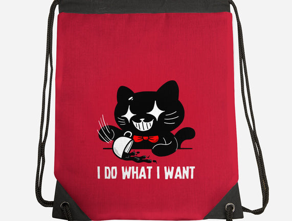 I Do What I Want Cat