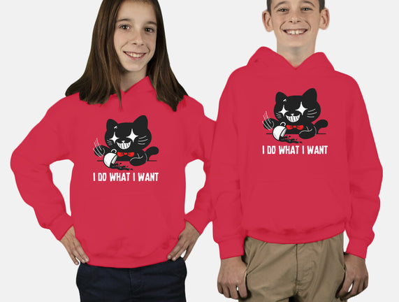 I Do What I Want Cat