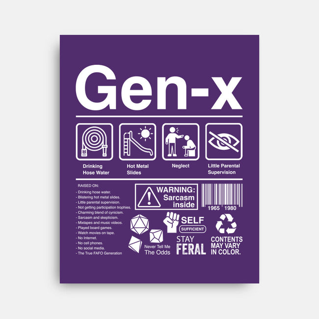 Gen X Label-None-Stretched-Canvas-DrMonekers