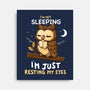 Just Resting My Eyes-None-Stretched-Canvas-Vallina84