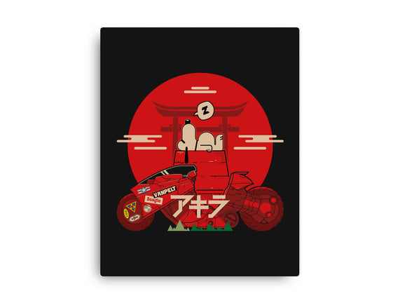 Snoopy X Akira