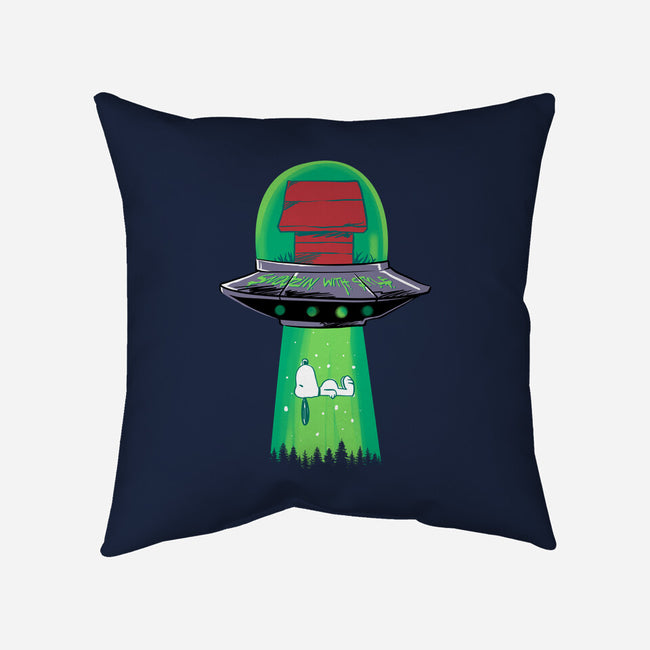 Snoozin With Style-None-Removable Cover w Insert-Throw Pillow-spoilerinc
