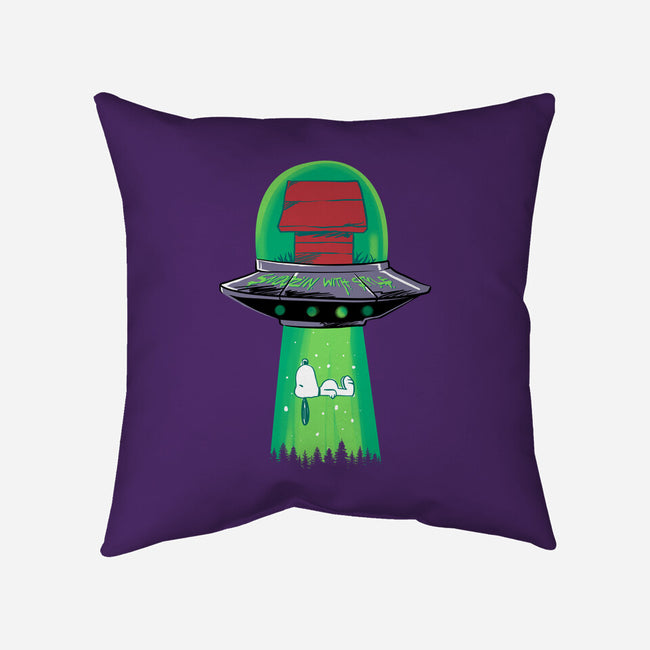 Snoozin With Style-None-Removable Cover w Insert-Throw Pillow-spoilerinc