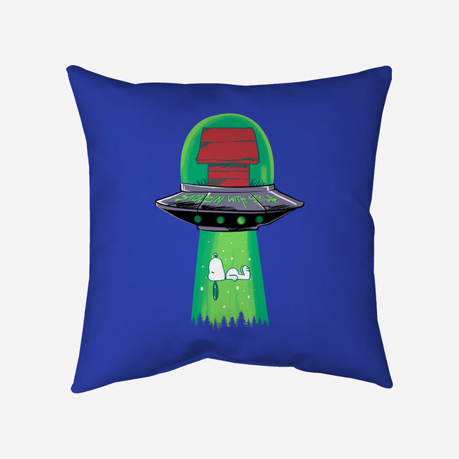 Snoozin With Style-None-Removable Cover w Insert-Throw Pillow-spoilerinc