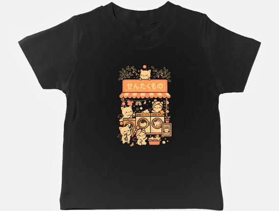 Fantasy Laundry