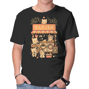 Fantasy Laundry