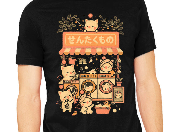 Fantasy Laundry