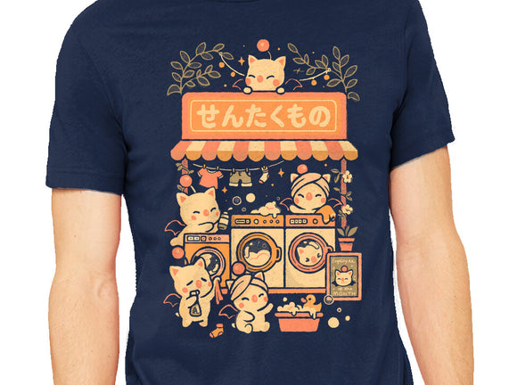 Fantasy Laundry