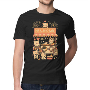 Fantasy Laundry