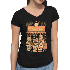 Fantasy Laundry