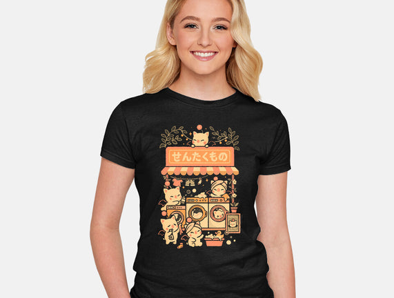 Fantasy Laundry