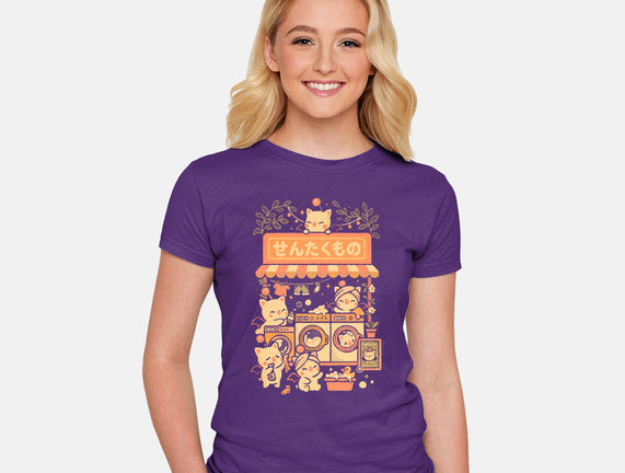 Fantasy Laundry