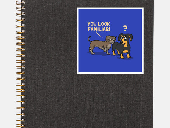You Look Familiar