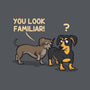 You Look Familiar-Unisex-Pullover-Sweatshirt-zascanauta