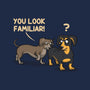 You Look Familiar-Unisex-Pullover-Sweatshirt-zascanauta