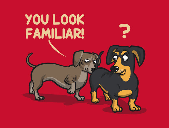 You Look Familiar