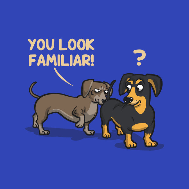 You Look Familiar-Unisex-Pullover-Sweatshirt-zascanauta