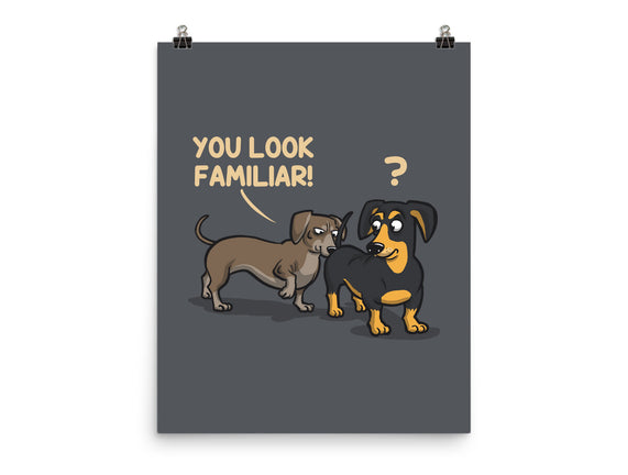 You Look Familiar