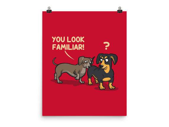 You Look Familiar