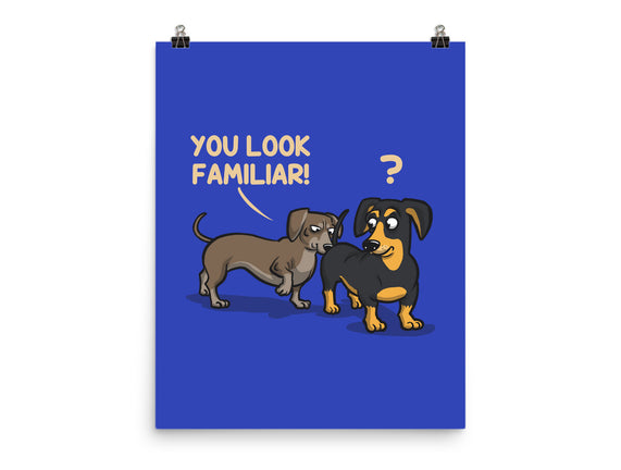 You Look Familiar