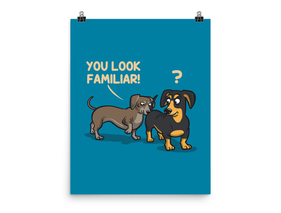 You Look Familiar