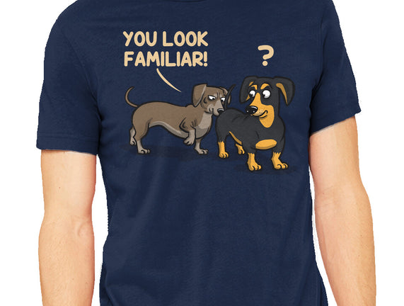 You Look Familiar