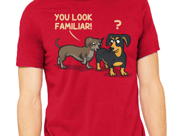 You Look Familiar