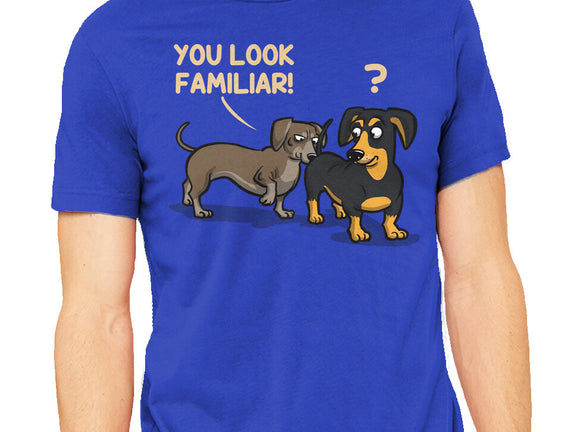 You Look Familiar