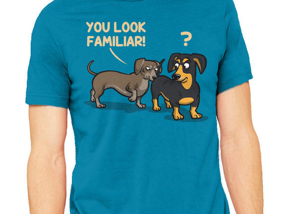You Look Familiar