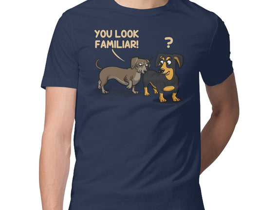 You Look Familiar