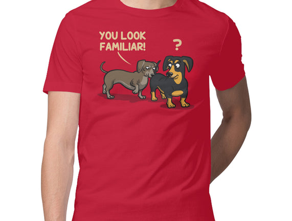 You Look Familiar