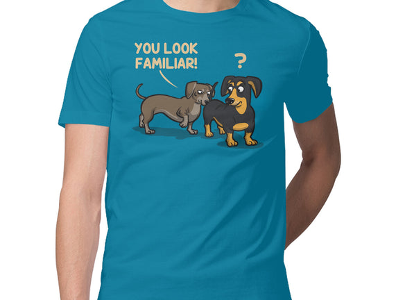 You Look Familiar