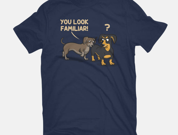 You Look Familiar
