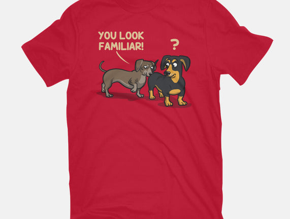 You Look Familiar