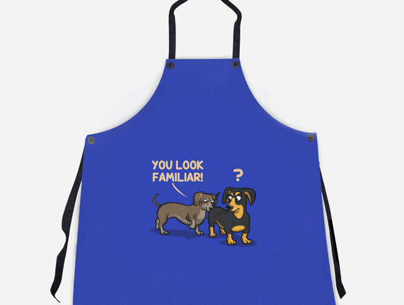 You Look Familiar