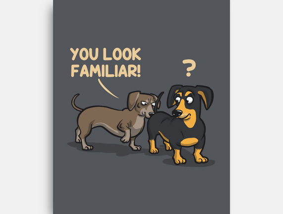 You Look Familiar