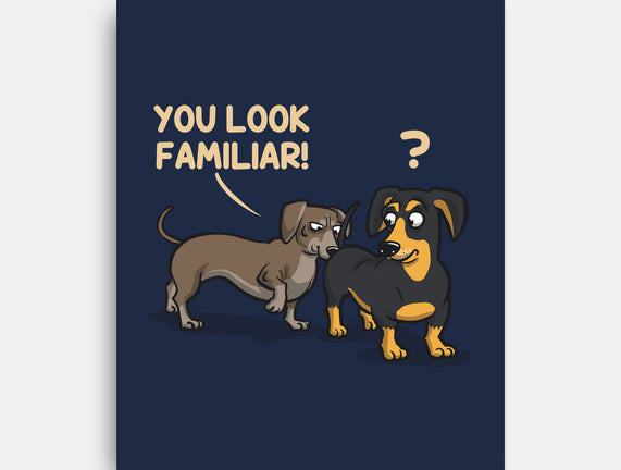 You Look Familiar