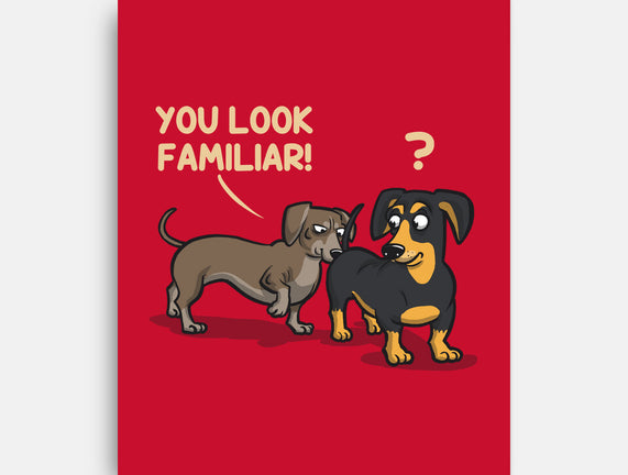 You Look Familiar